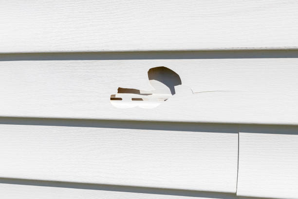 How To Choose The Right Materials for Your Siding Installation in 'Arma, KS